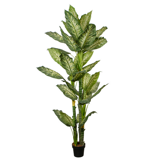 Indoor Decorative Dieffenbachia Artificial Plant