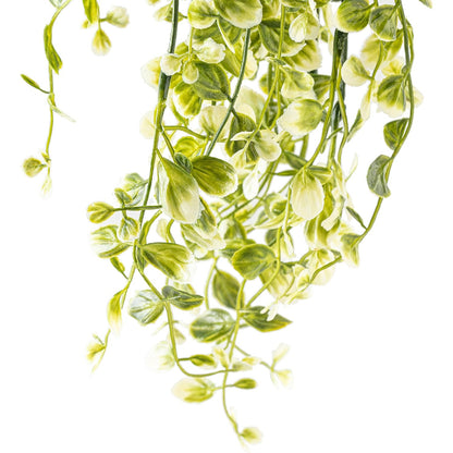 6 Pack Artificial Smilax Bush