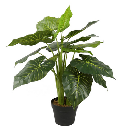 Alocasia Bonsai Decorative Plant