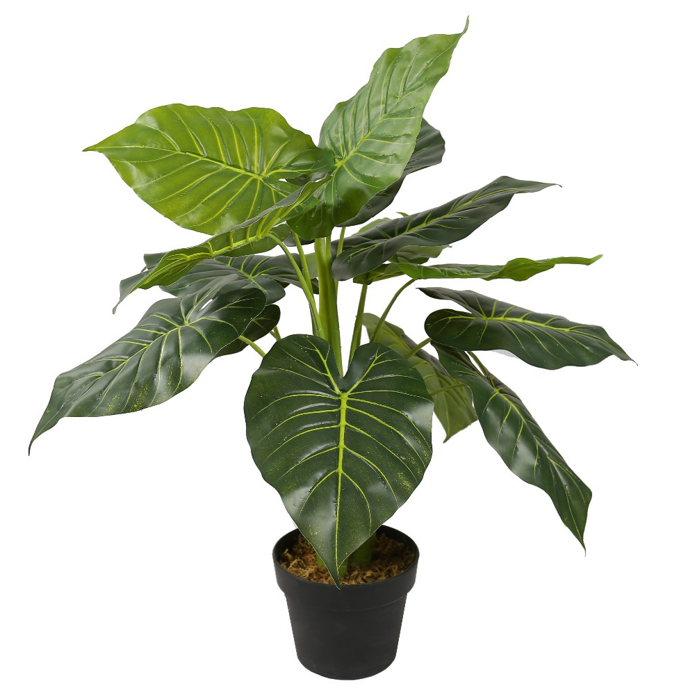 Alocasia Bonsai Decorative Plant