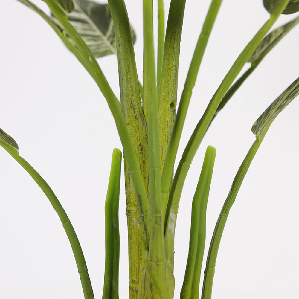 Alpinia Faux Zerumbet Bonsai Plant