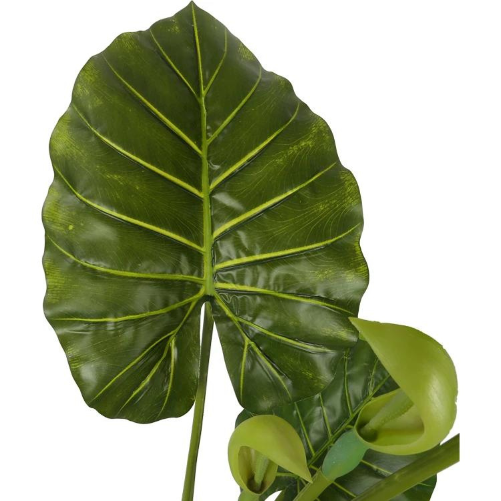 Artificial Alocasia Leaf Plant