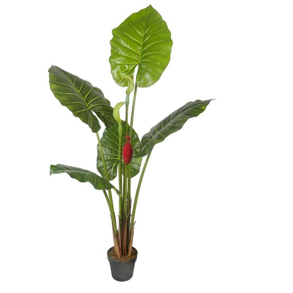 Artificial Alocasia Leaf Plant