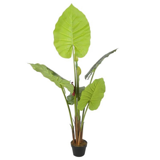 Artificial Alocasia Leaf Plant