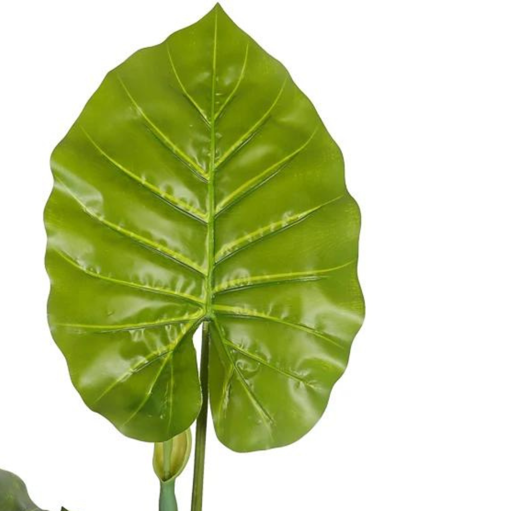 Artificial Alocasia Leaf Plant