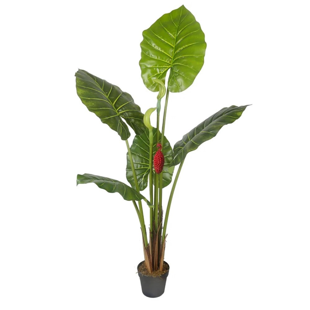 Artificial Alocasia Macrorrhiza Plant Decor