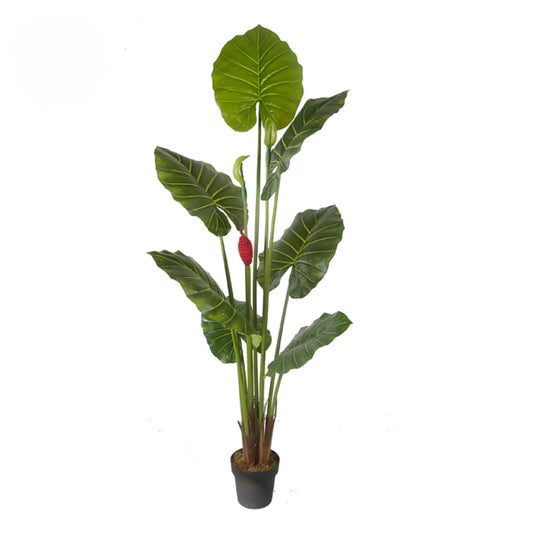 Artificial Alocasia Macrorrhiza Plant