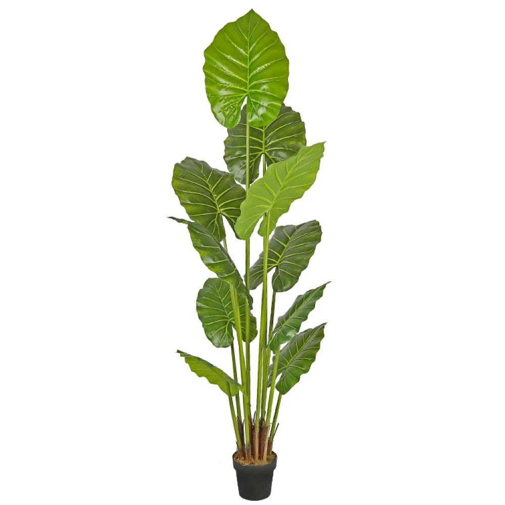 Artificial Alocasia Plant