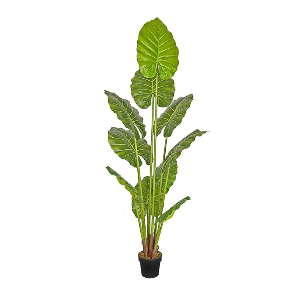 Artificial Alocasia Plant