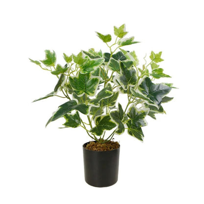 Artificial And Decorative Ivy Plant