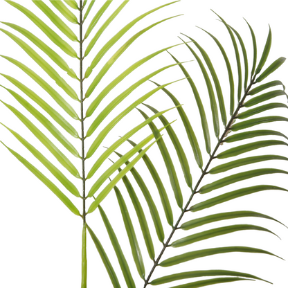 Silk Areca Faux Plant