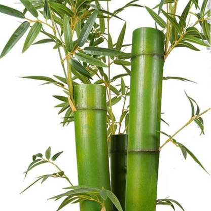 Artificial Bamboo Plant With Pot