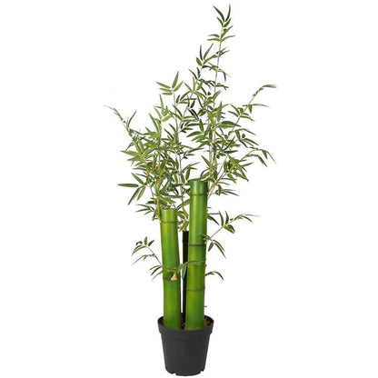 Artificial Bamboo Plant With Pot