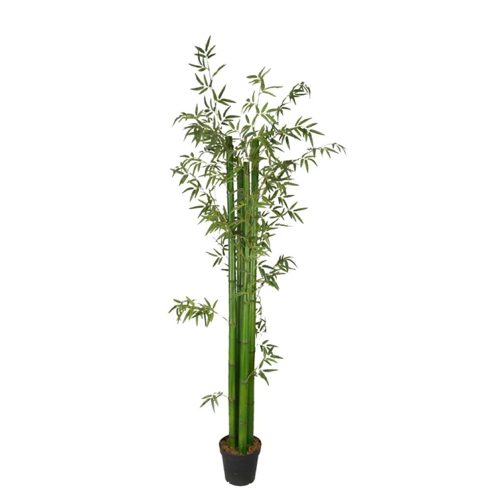 Artificial Bambusa Bamboo Tree