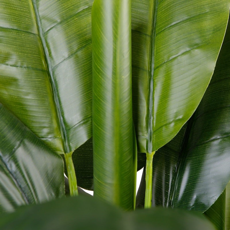 Artificial Banana Leaf Bonsai