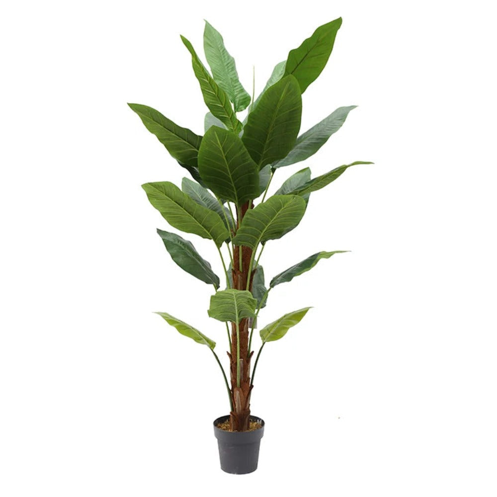 Artificial Banana Plant For Decor