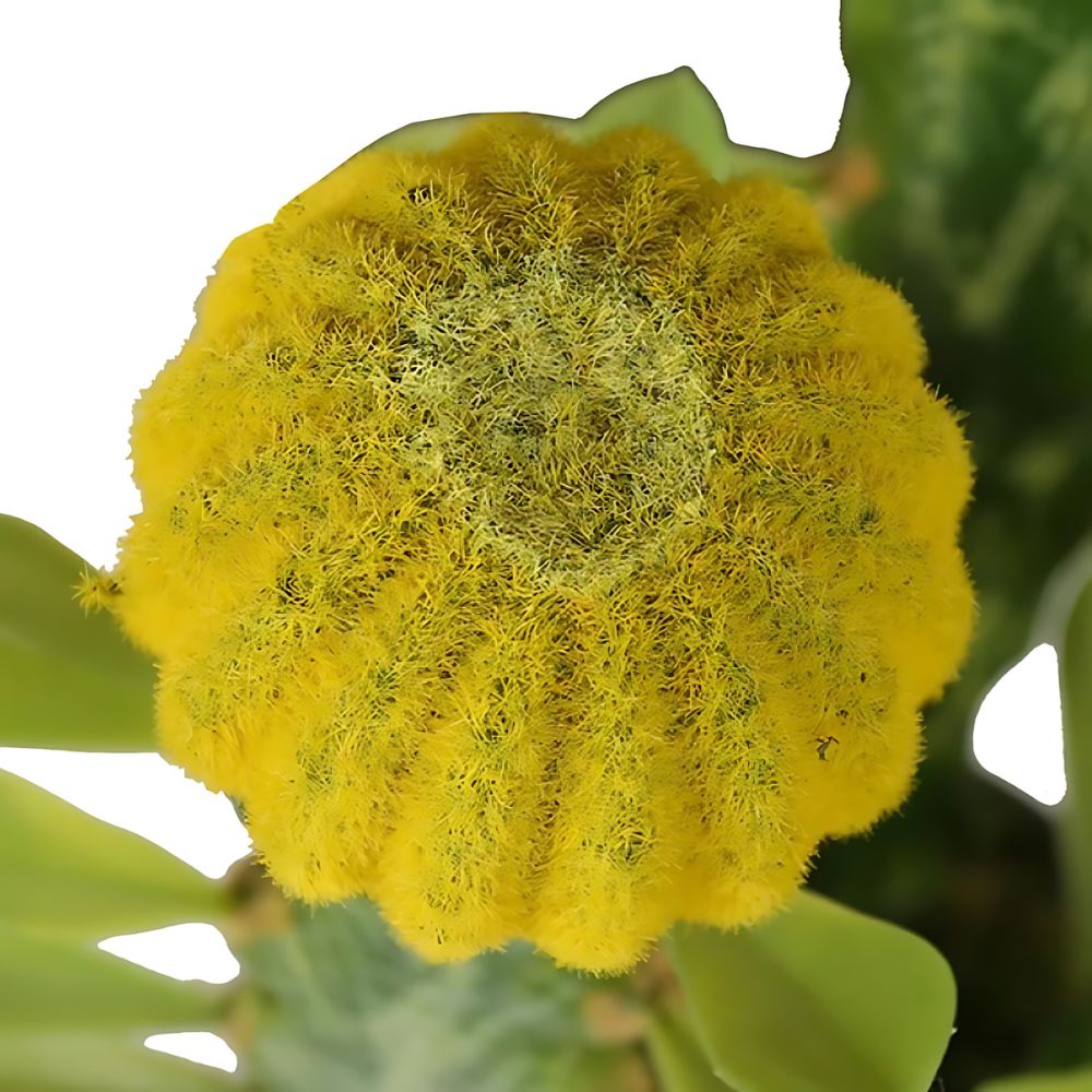 Artificial Barrel Cactus