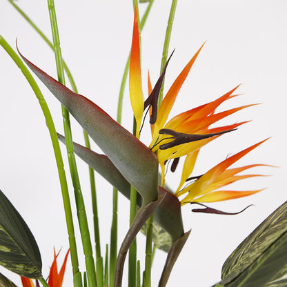 Artificial Bird Of Paradise Plant