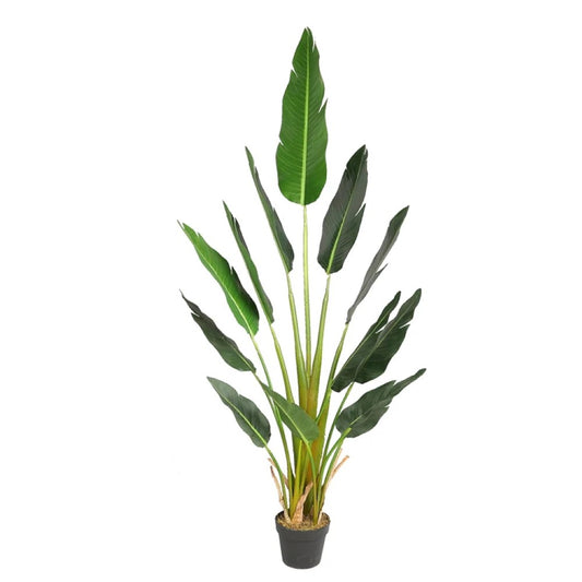 Artificial Bird Of Paradise Plant