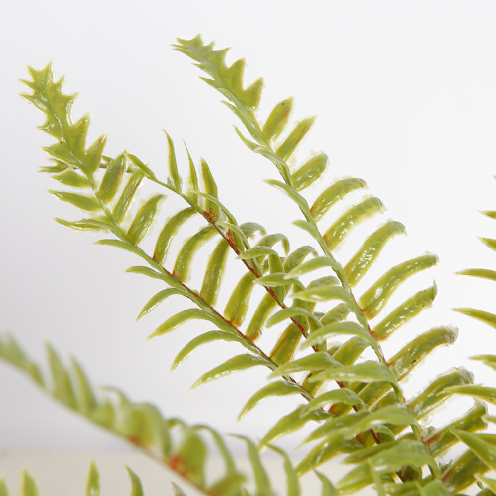 Artificial Boston Fern Grass