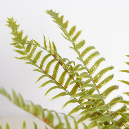 Artificial Boston Fern Grass