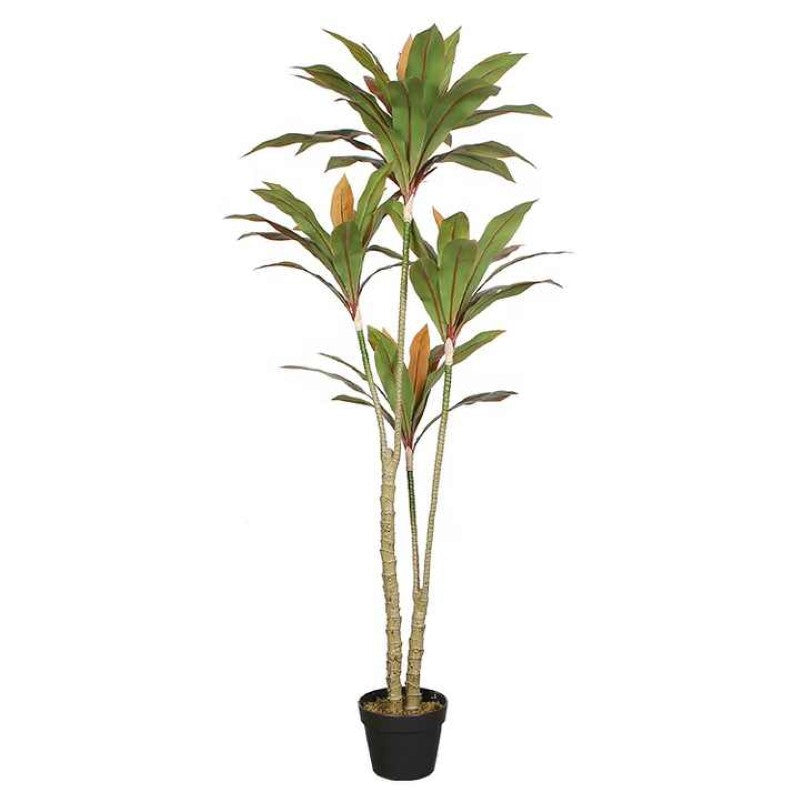 Artificial Brazil Dracaena Tree For Indoor Spaces