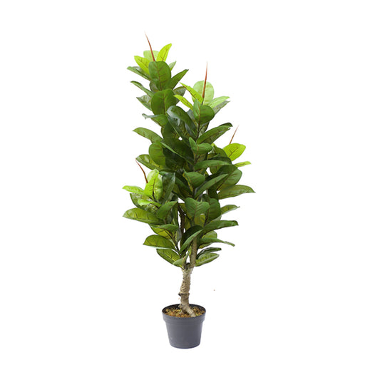 Artificial Broadleaf Potted Tree