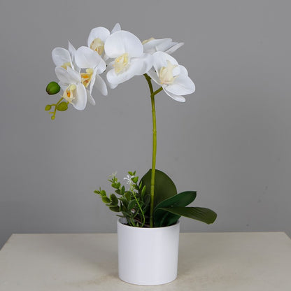 Artificial Butterfly Orchid In Decorative Pot