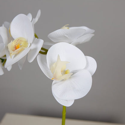 Artificial Butterfly Orchid In Decorative Pot