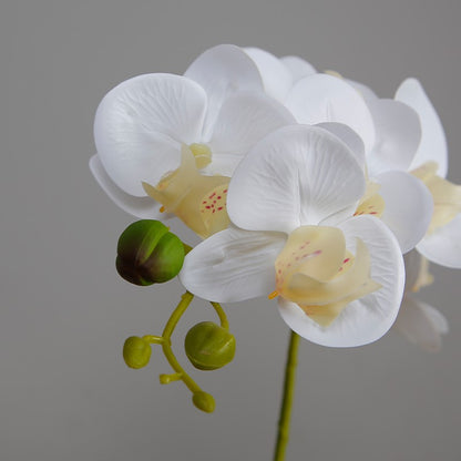 Artificial Butterfly Orchid In Decorative Pot