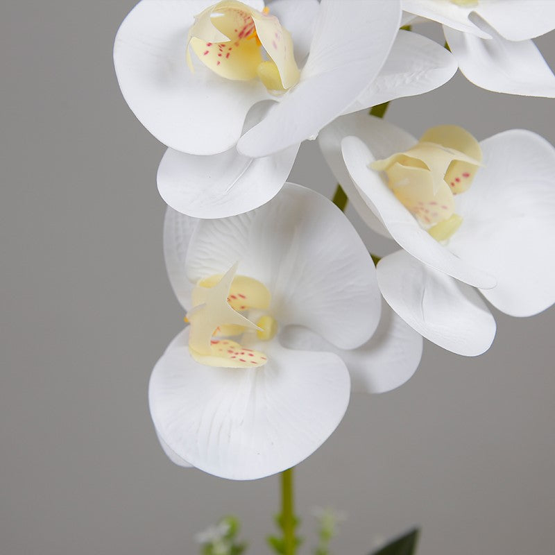 Artificial Butterfly Orchid In Decorative Pot