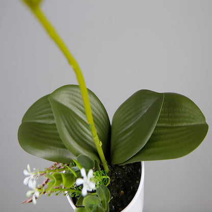 Artificial Butterfly Orchid In Decorative Pot