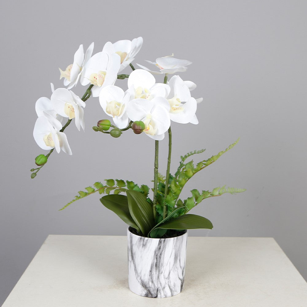 Artificial Butterfly Orchid In Special Pot