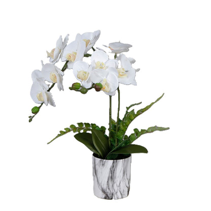 Artificial Butterfly Orchid In Special Pot