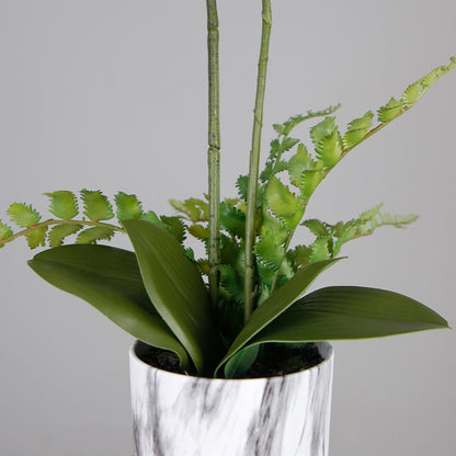 Artificial Butterfly Orchid In Special Pot