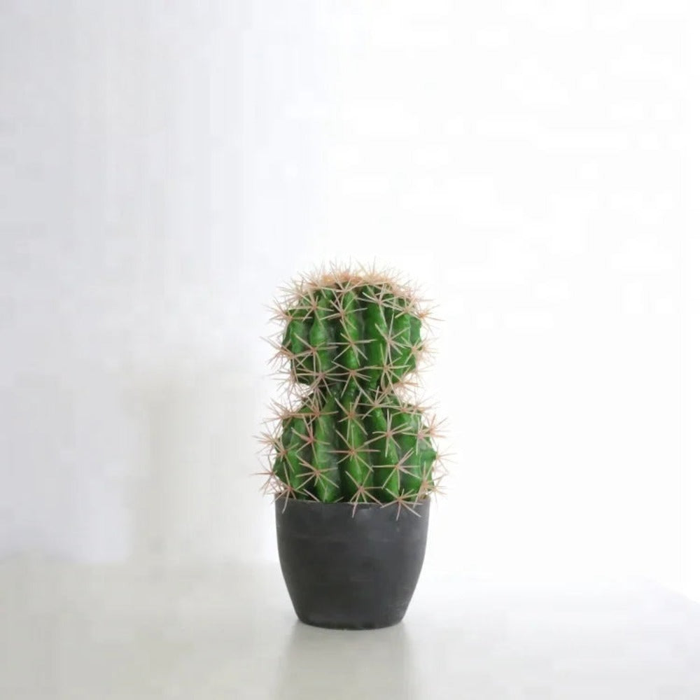 Artificial Cactus Ball