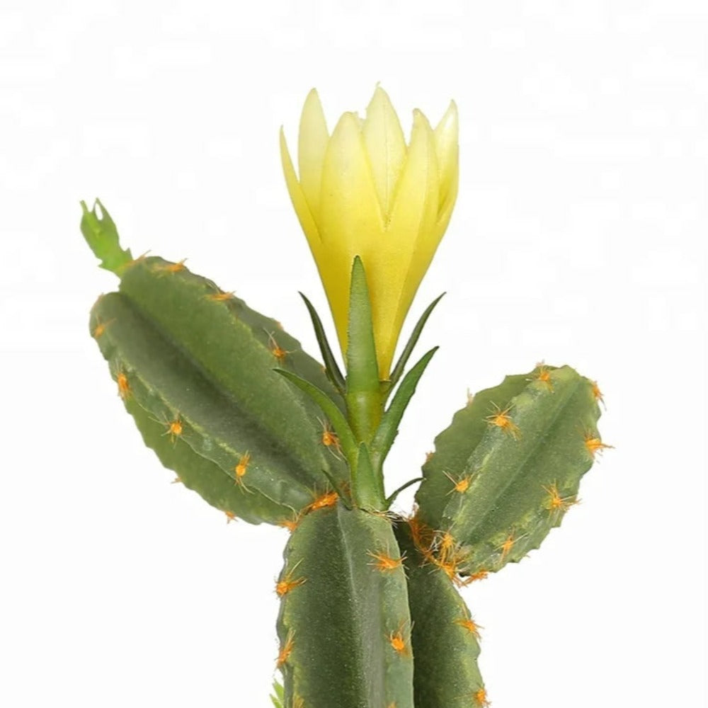 Artificial Cactus Flowers For Decor