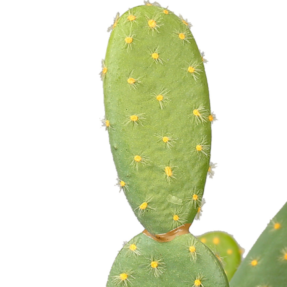 Artificial Cactus In Classic Pot