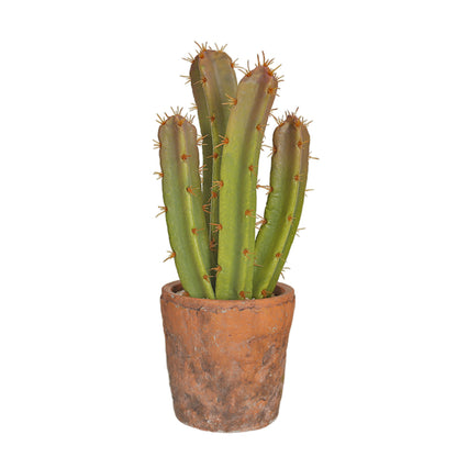 Artificial Cactus In Rustic Cotta Pot