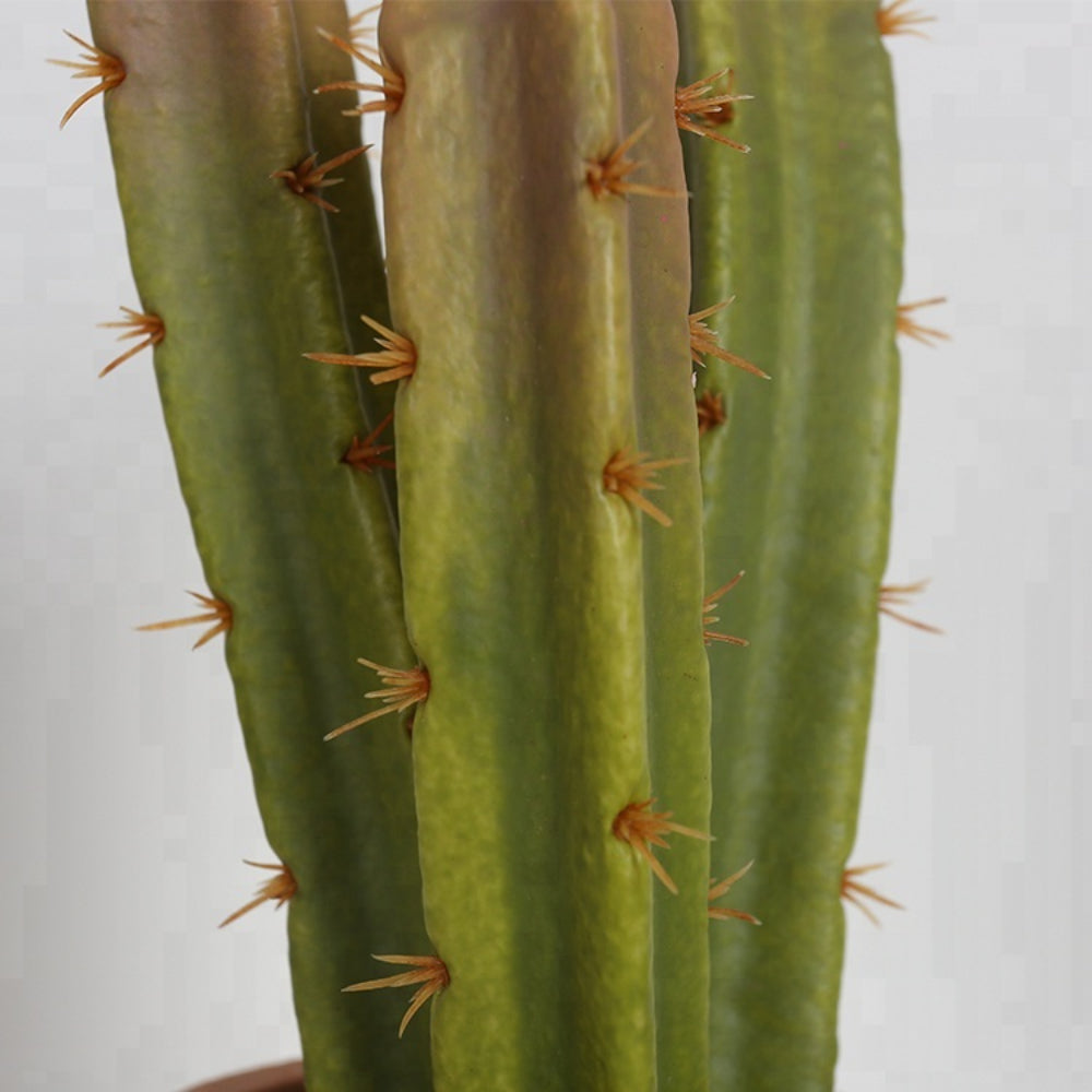 Artificial Cactus In Rustic Cotta Pot