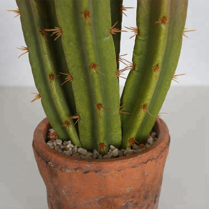 Artificial Cactus In Rustic Cotta Pot