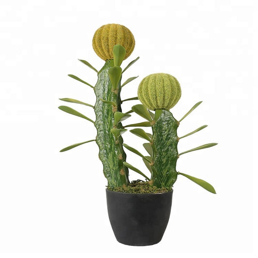 Artificial Cactus Indoor Plant