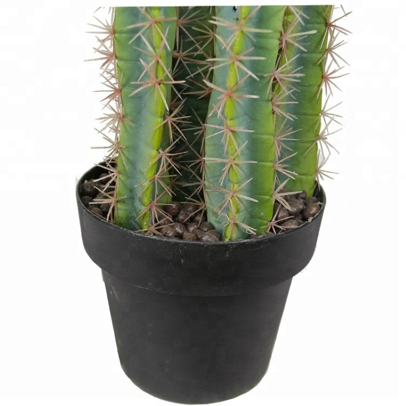 Artificial Cactus Plant For Decorative