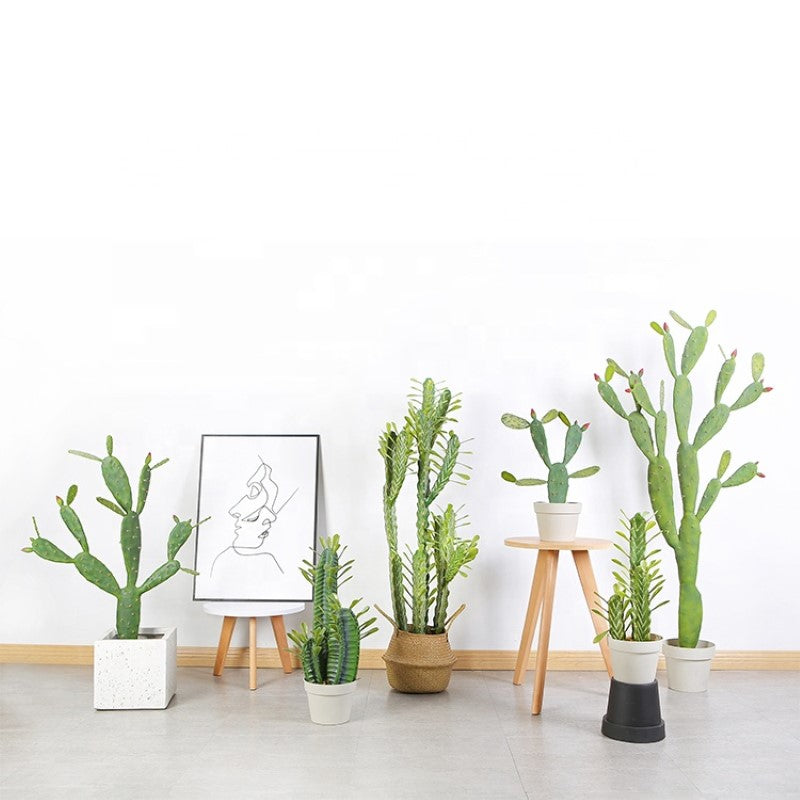 Artificial Cactus Plant For Decorative