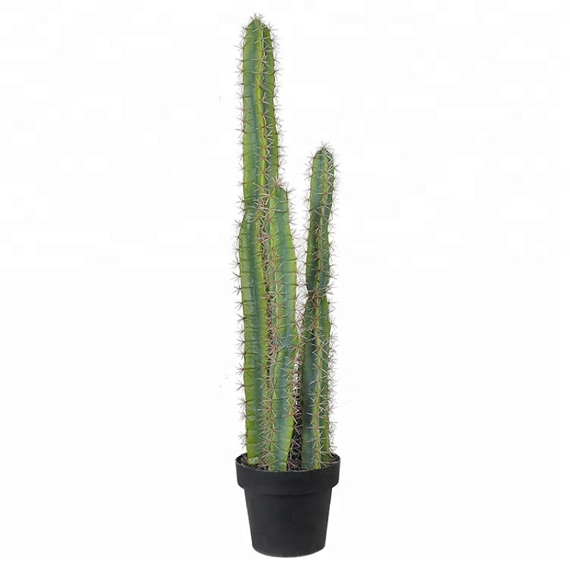 Artificial Cactus Plant For Decorative