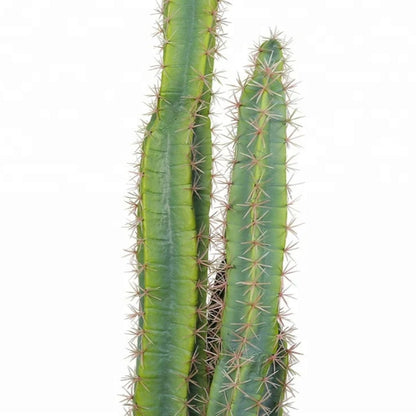 Artificial Cactus Plant For Home Decor