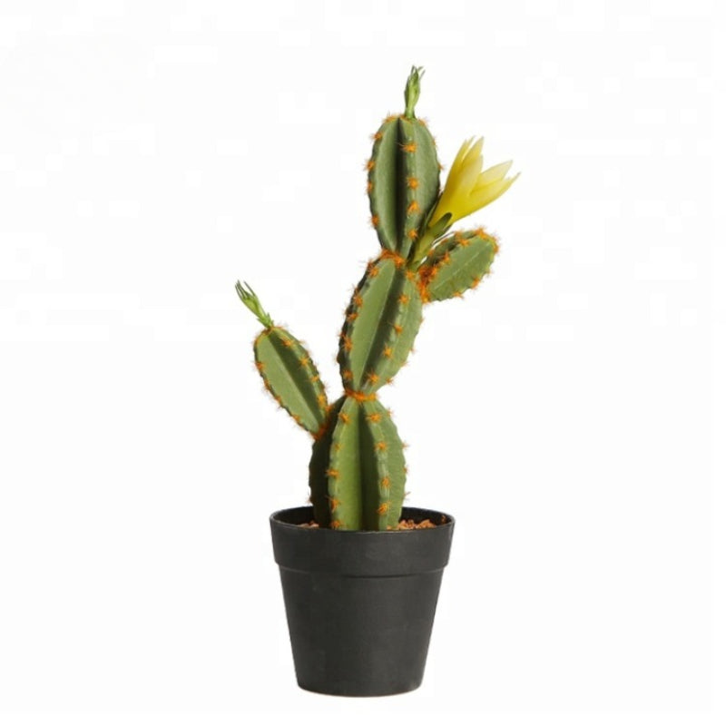 Artificial Cactus With Bloom