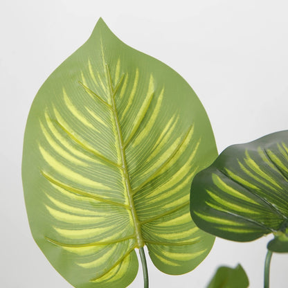 Artificial Calathea Decorative Plant