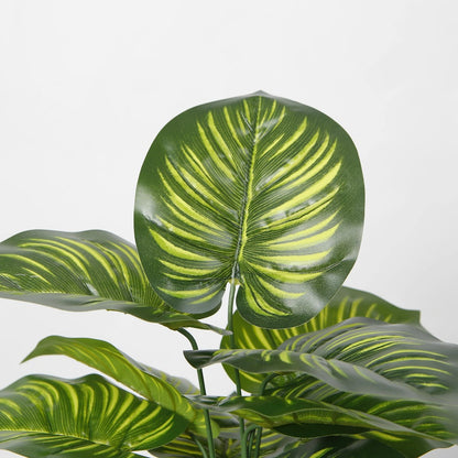 Artificial Calathea Decorative Plant