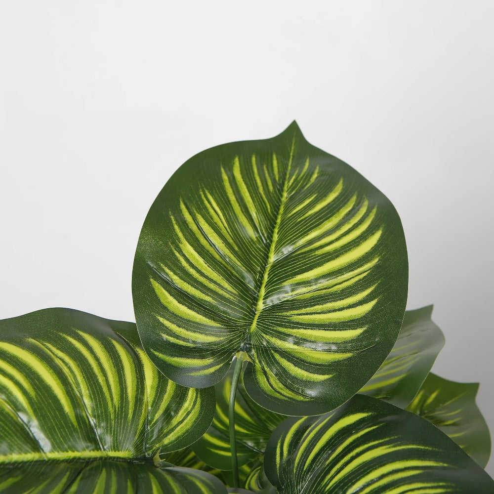 Artificial Calathea Decorative Plant